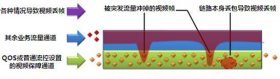 白雪投影幕系统帮你解决视频会议马赛克、拖尾