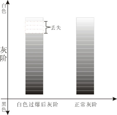 技术优势 谈投影幕如何实现高增益